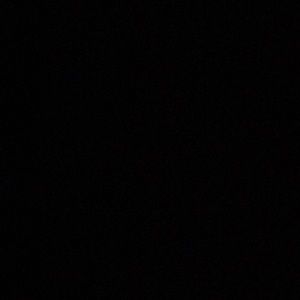 Meet your Posher, Lizzie